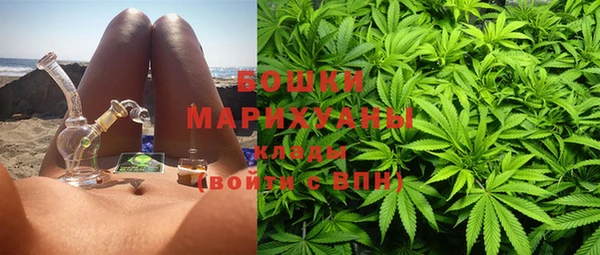 ALPHA PVP Покров