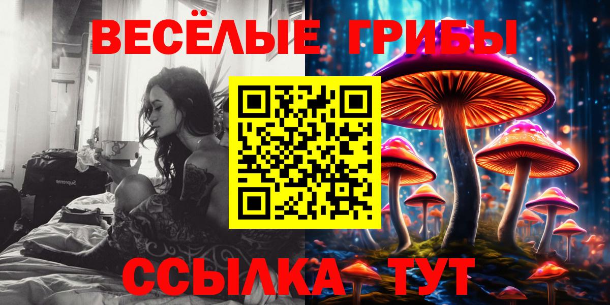 Алейск  Галлюциногенные грибы MAGIC MUSHROOMS  Вход с VPN 